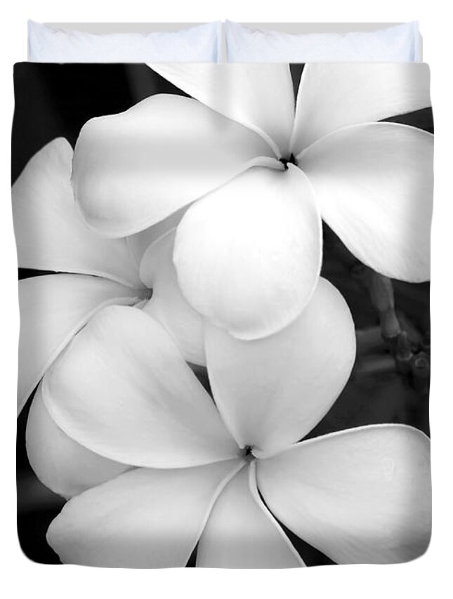 Macro Duvet Cover featuring the photograph Three Plumeria Flowers in Black and White by Sabrina L Ryan