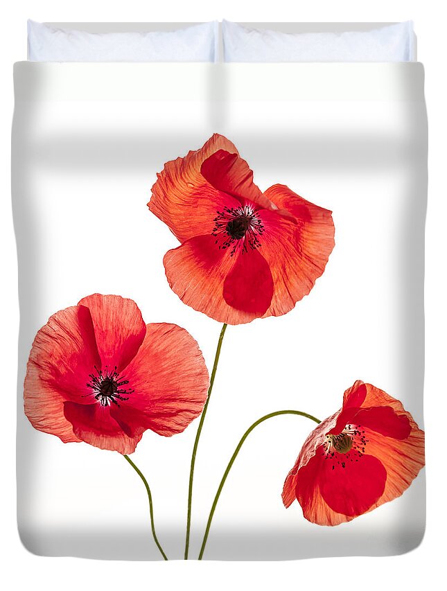 Three Red Poppies Duvet Cover For Sale By Elena Elisseeva