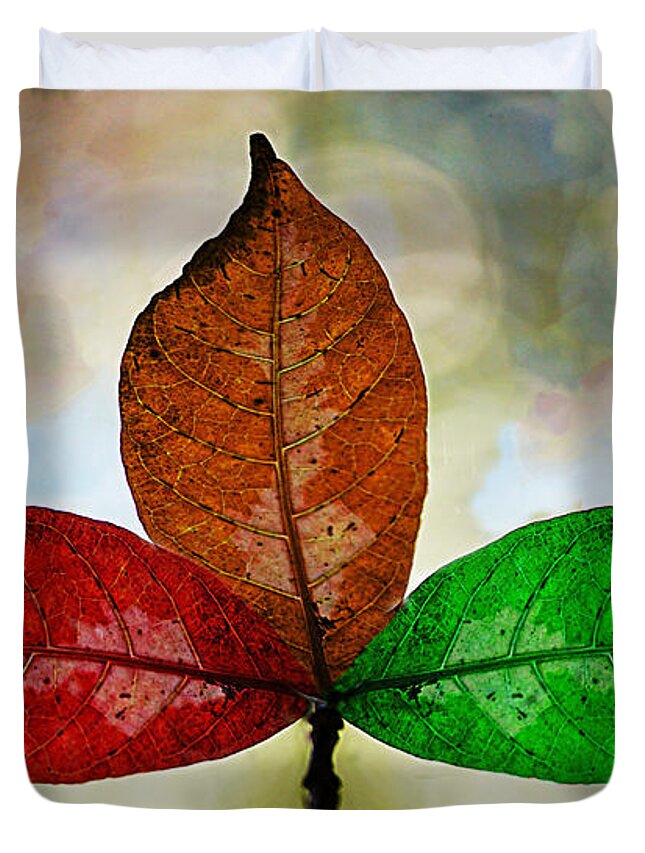 Seasons Duvet Cover featuring the photograph Three Seasons by Ben Yassa