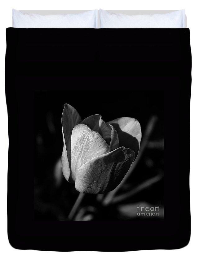 Midwest America Duvet Cover featuring the photograph Threshold - Monochrome by Frank J Casella