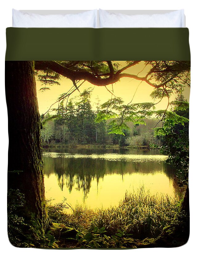 Lake Duvet Cover featuring the photograph Through The Forest To The Lake Two by Joyce Dickens