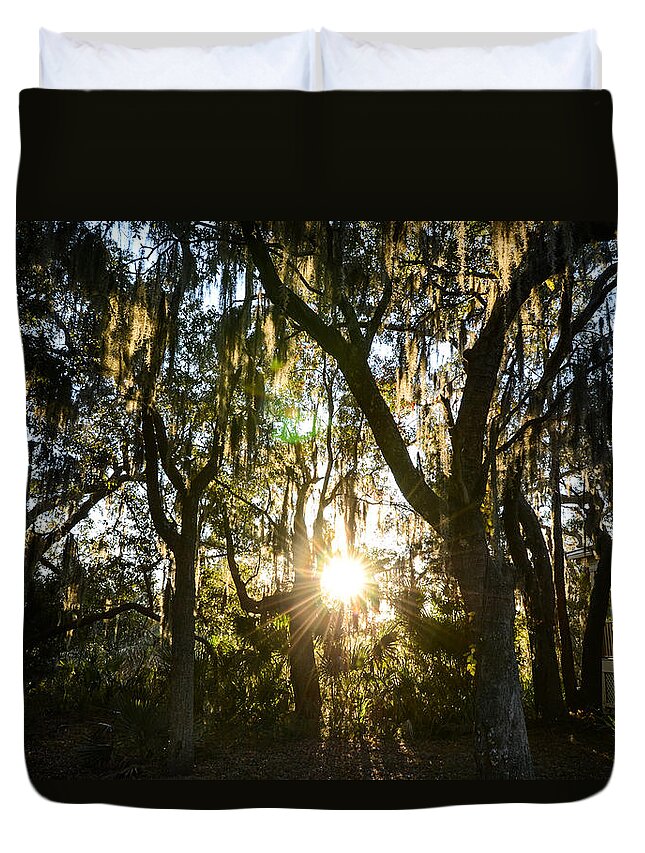 Sunrise Duvet Cover featuring the photograph Through The Moss by Mary Hahn Ward