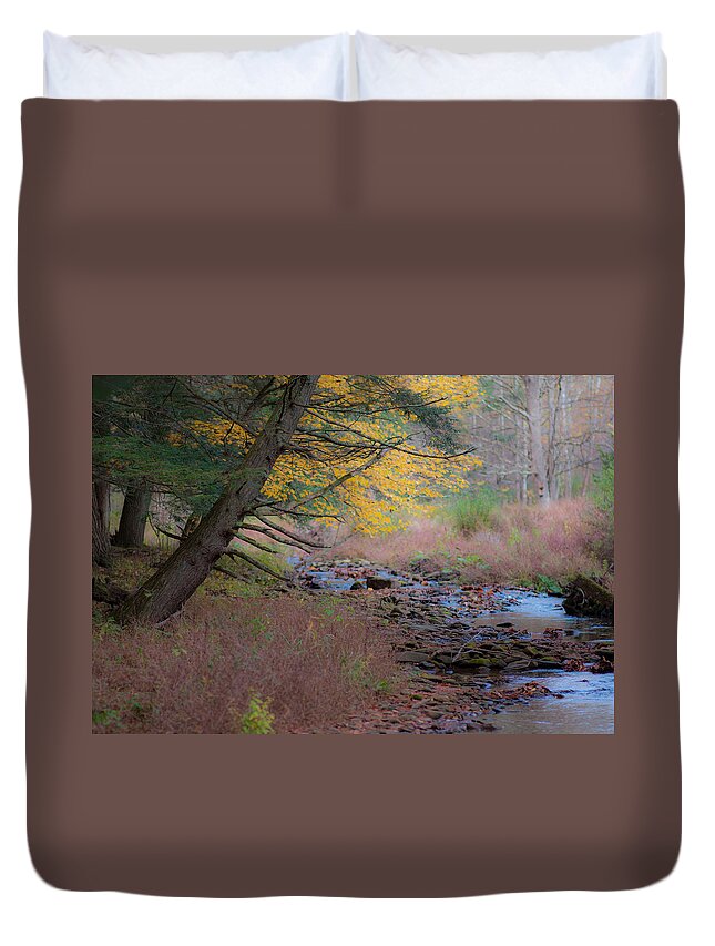 Hammersley Fork Duvet Cover featuring the photograph Thunderbird by Scott Hafer