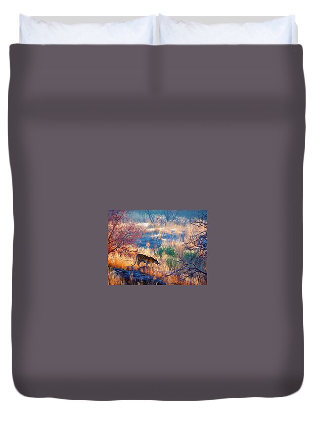 Ranthambore National Park Duvet Cover featuring the photograph Tiger Country by Eromaze