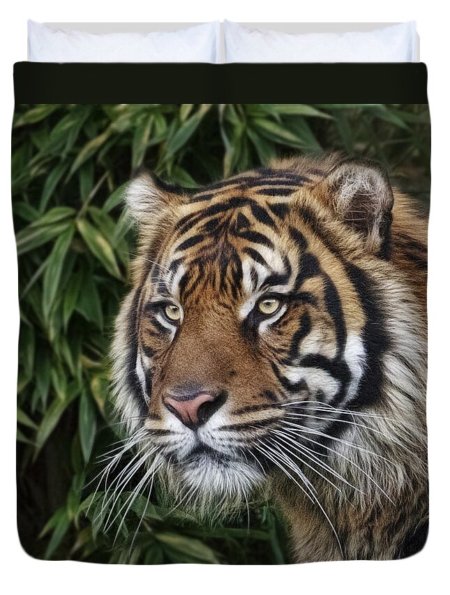 Tiger In The Bush Duvet Cover featuring the photograph Tiger In The Bush by Wes and Dotty Weber