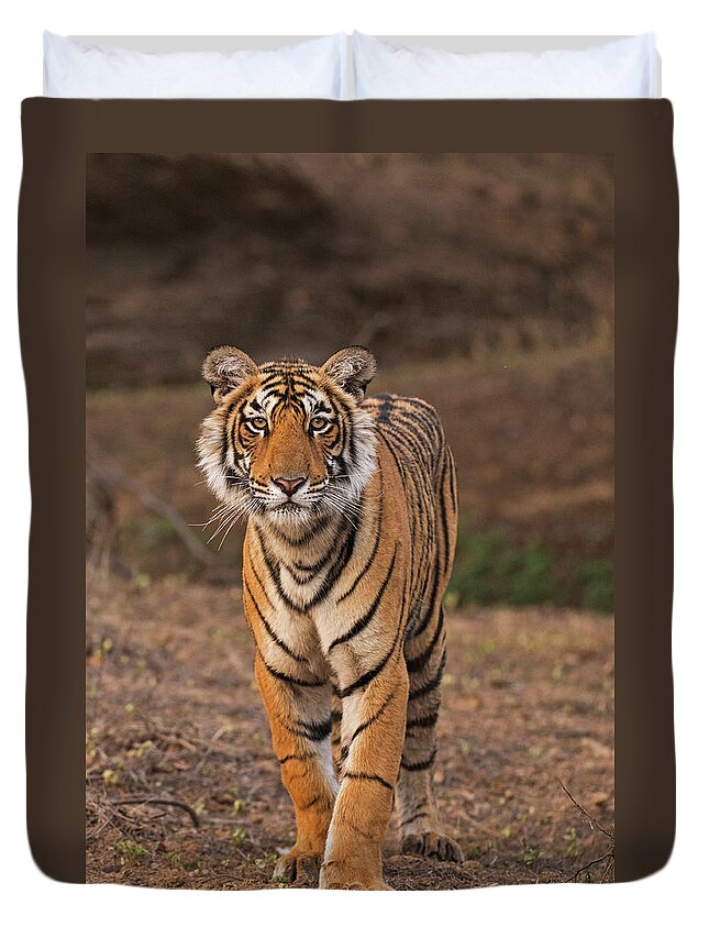 Ranthambore National Park Duvet Cover featuring the photograph Tiger Portrait by Aditya Singh