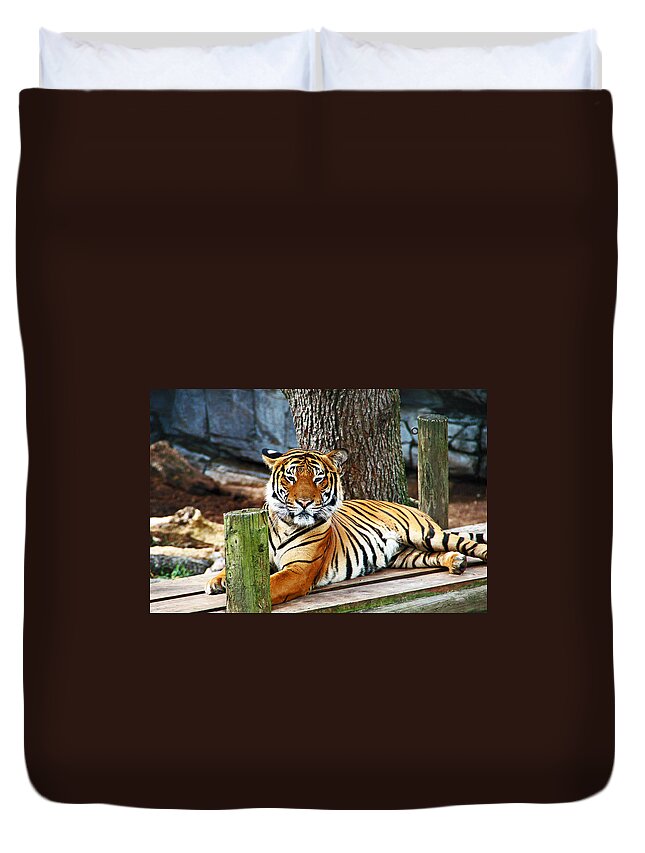 Tiger Duvet Cover featuring the photograph Tiger Portrait by Aimee L Maher ALM GALLERY