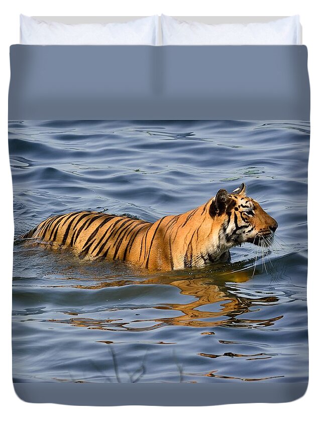 Wildlife Duvet Cover featuring the photograph Tigress of the Lake by Fotosas Photography