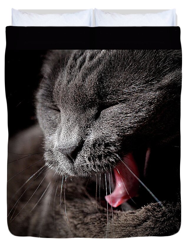 Cat Duvet Cover featuring the photograph Time for a Nap by Rona Black