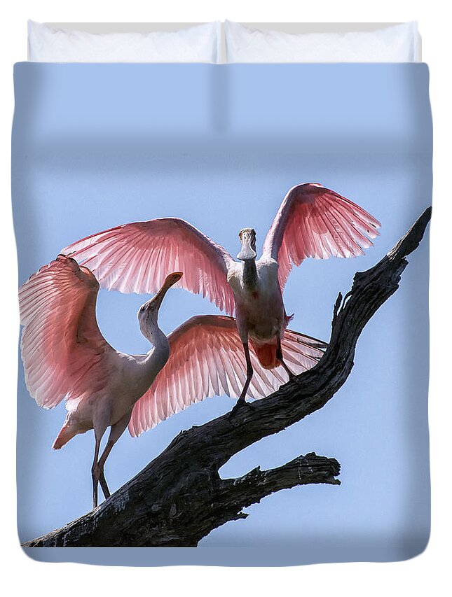 Crystal Yingling Duvet Cover featuring the photograph Time to Fly by Ghostwinds Photography