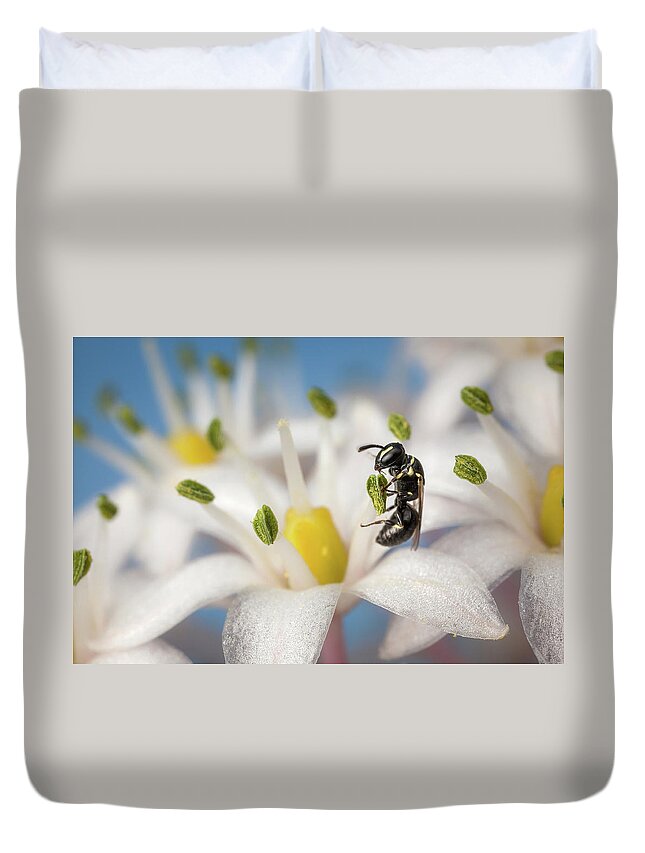 Greece Duvet Cover featuring the photograph Tiny Bee Collecting Pollen by Stavros Markopoulos