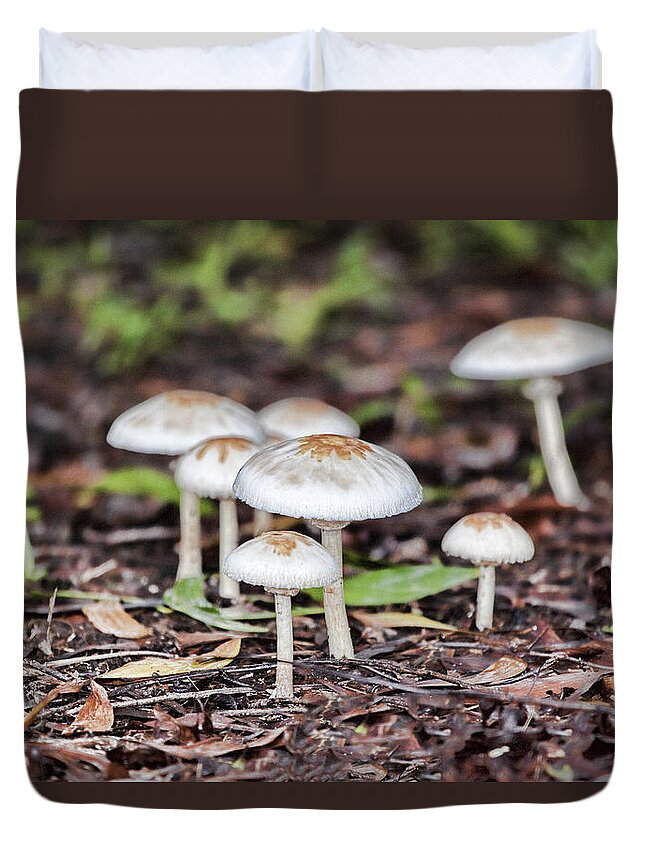 Toadstools Duvet Cover featuring the photograph Toadstools V8 by Douglas Barnard