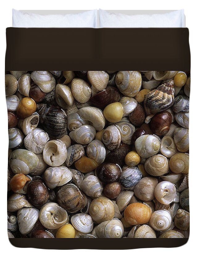 Feb0514 Duvet Cover featuring the photograph Topshells Whelk And Periwinkle Shells by Duncan Usher