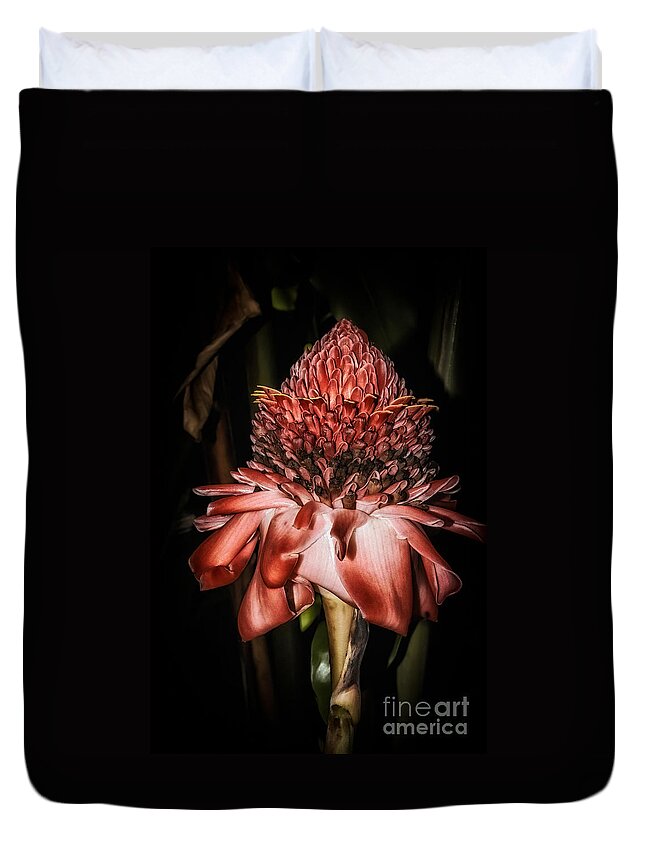 Al Andersen Duvet Cover featuring the photograph Torch Ginger 1 by Al Andersen