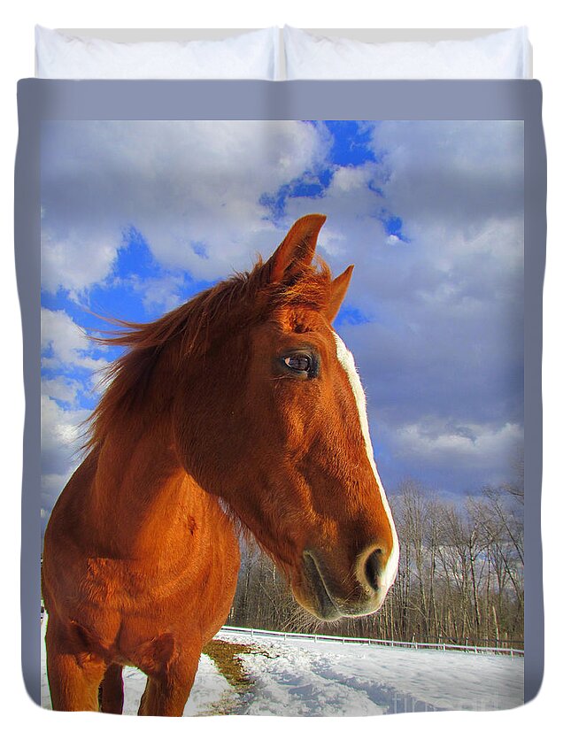 Tori Duvet Cover featuring the photograph Tori Girl by Elizabeth Dow