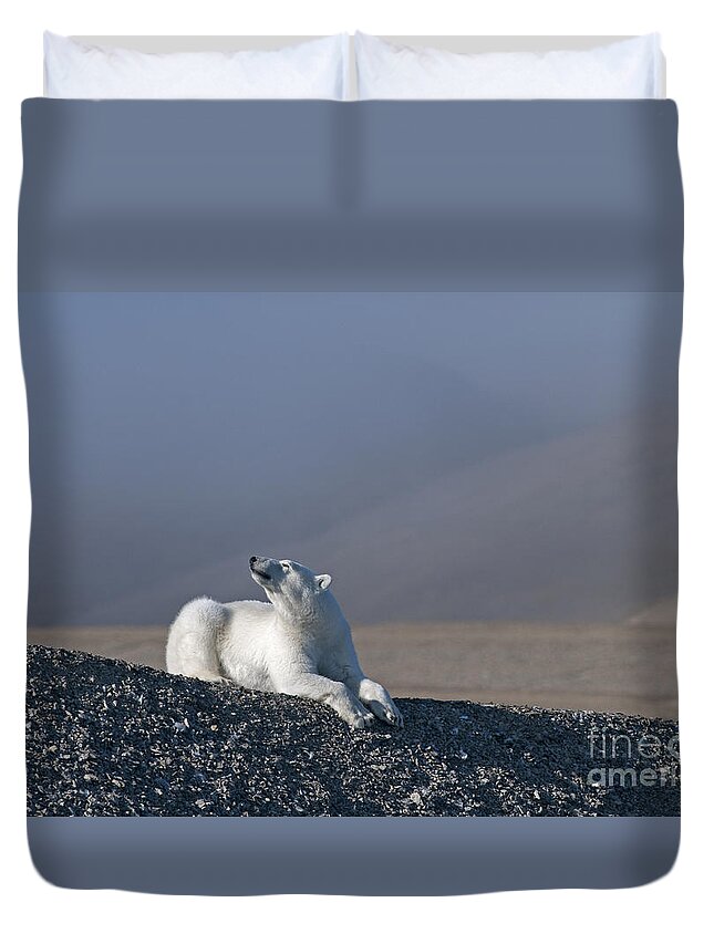 Arctic Duvet Cover featuring the photograph Total Bliss.. by Nina Stavlund