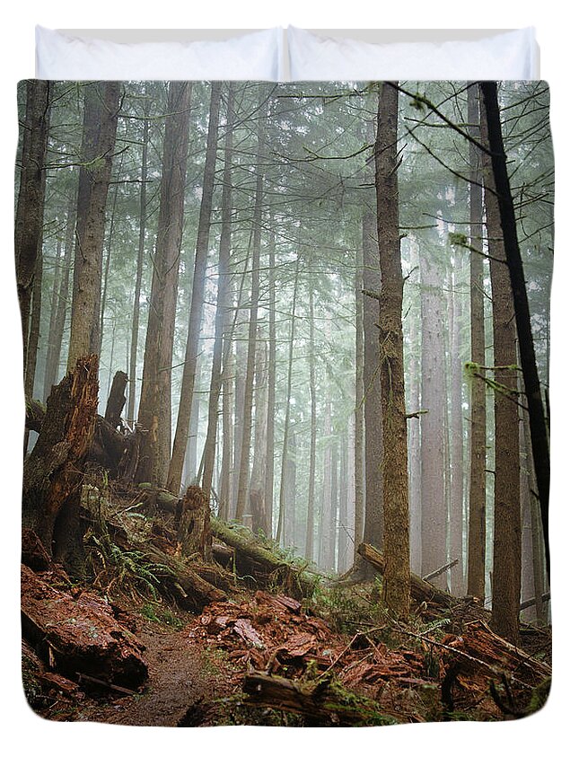 Outdoors Duvet Cover featuring the photograph Trail Leading Through Foggy Forest by Danielle D. Hughson