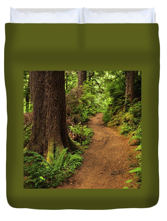 Scenics Duvet Cover featuring the photograph Trail Through Forest by Andipantz