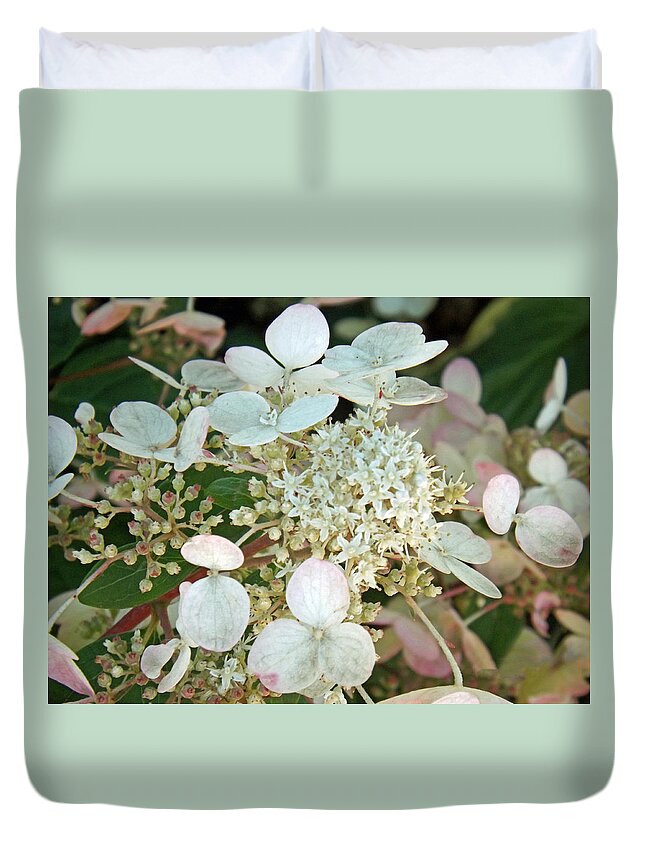 Flower Duvet Cover featuring the photograph Tranquil Pastels by Brenda Brown