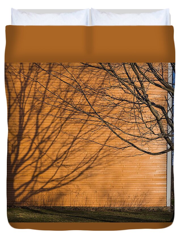 Orange Duvet Cover featuring the photograph Tree and Shadow at Cogswells Grant by Stoney Stone