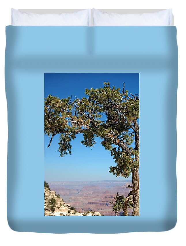 Tree Duvet Cover featuring the photograph Tree Arch by Leticia Latocki