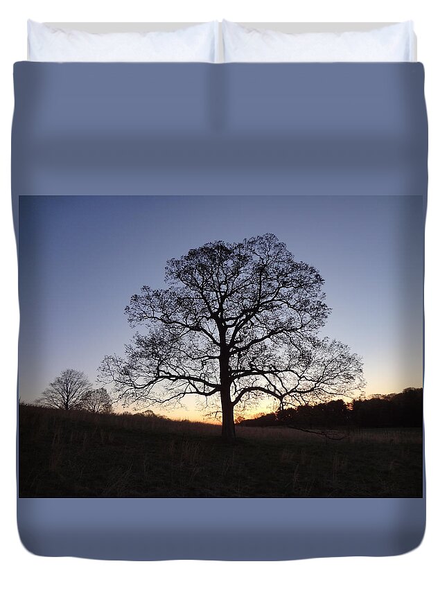 Tree Duvet Cover featuring the photograph Tree at Dawn by Michael Porchik