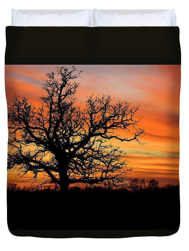 Tree Duvet Cover featuring the photograph Tree at Sunset by Elizabeth Budd
