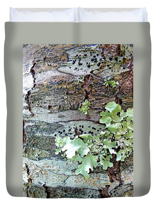 Duane Mccullough Duvet Cover featuring the photograph Tree Bark Abstract 2 by Duane McCullough