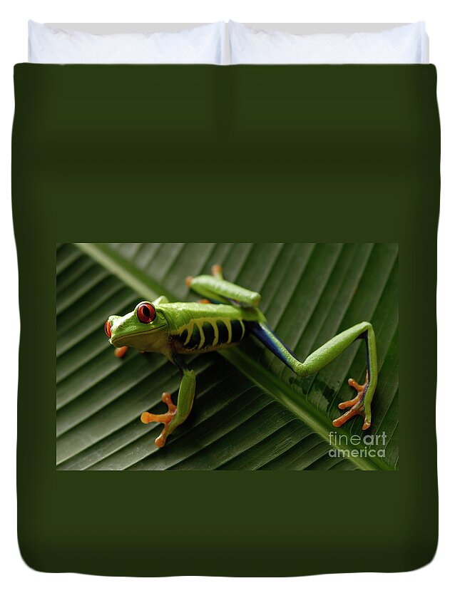 Frog Duvet Cover featuring the photograph Tree Frog 16 by Bob Christopher