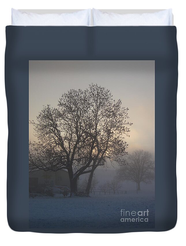 Tree Duvet Cover featuring the photograph Tree in the foggy winter landscape by Amanda Mohler
