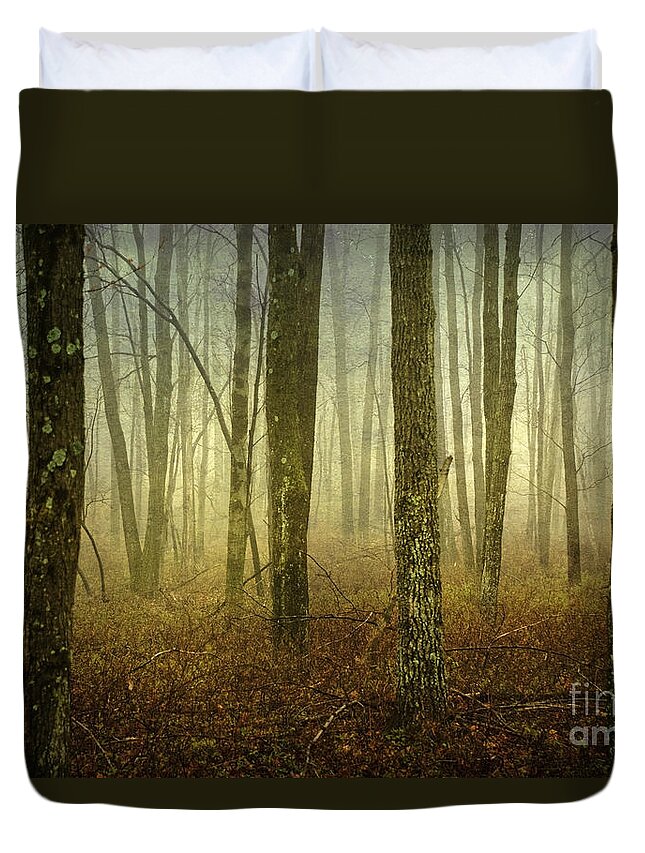 Bare Duvet Cover featuring the photograph Trees II by Debra Fedchin