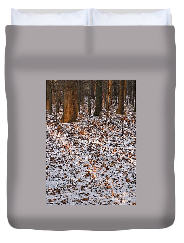Arboretum Duvet Cover featuring the photograph Trees by Steven Ralser