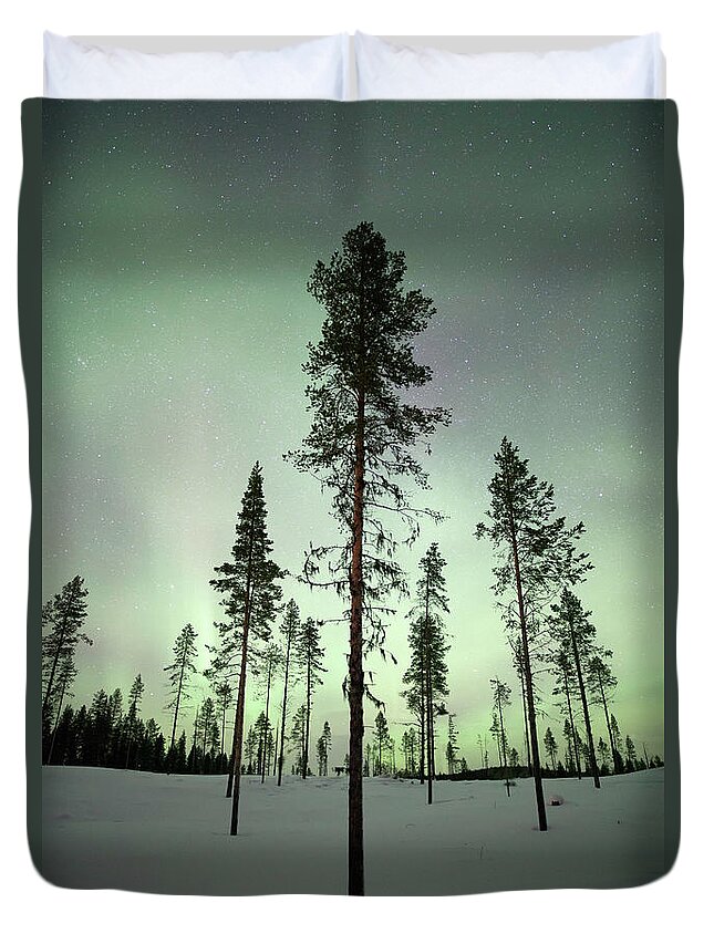 Scenics Duvet Cover featuring the photograph Trees With Aurora Borealis by Justinreznick