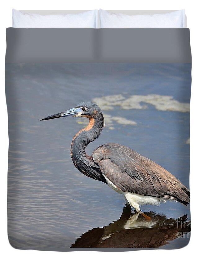 Heron Duvet Cover featuring the photograph Tri Colored Heron by Kathy Baccari
