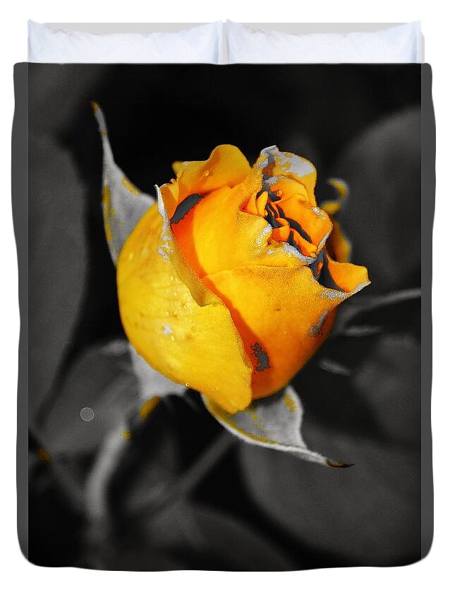  Duvet Cover featuring the photograph Tricia's Rose BWY 2 by Daniel Thompson