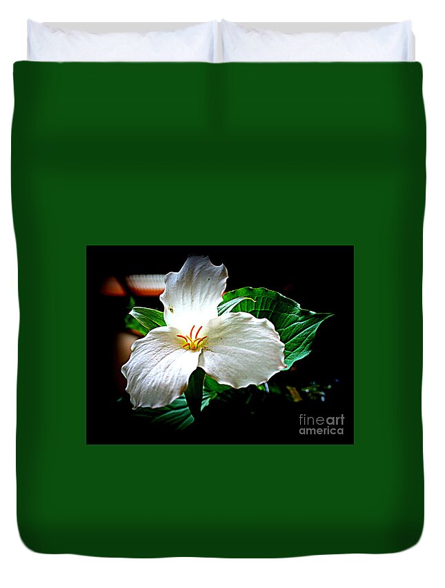 Trillium Duvet Cover featuring the photograph Trillium Wildflower by Kay Novy