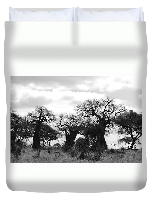Mysterious Duvet Cover featuring the photograph Trio of Baobabs Kenya by Tom Wurl