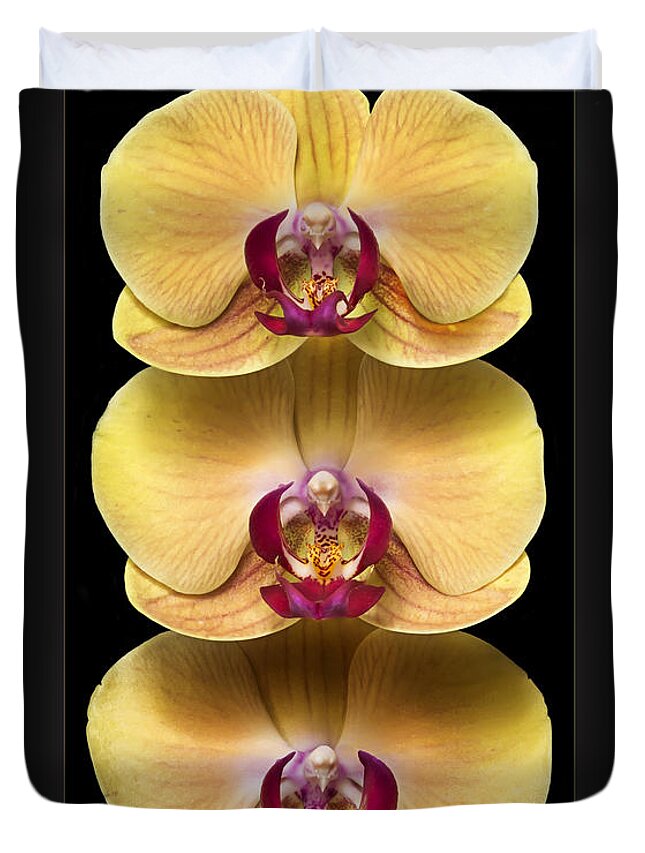 Flower Duvet Cover featuring the photograph Trio of Orchids by Endre Balogh