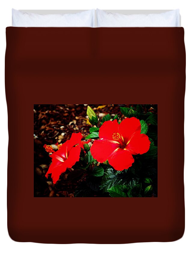 Hibiscus Duvet Cover featuring the photograph Tropical Hibiscus - Starry Wind 01A by Pamela Critchlow