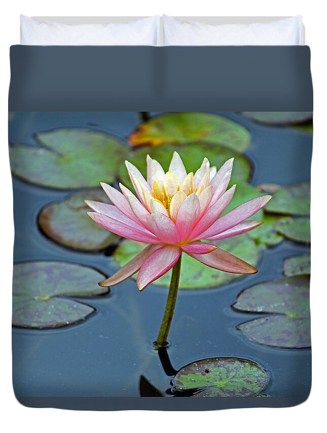 Flower Duvet Cover featuring the photograph Tropical Pink Lily by Cynthia Guinn