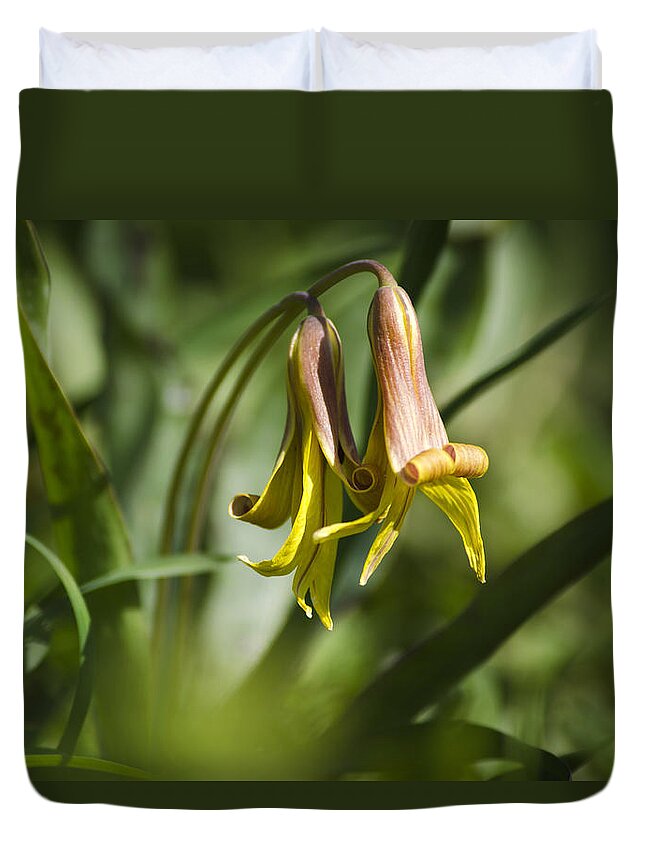 Trout Lily Duvet Cover featuring the photograph Trout Lily Flowers by Christina Rollo