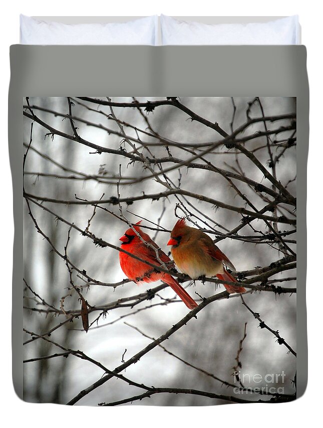 Cardinals Duvet Cover featuring the photograph True Love Cardinal by Peggy Franz