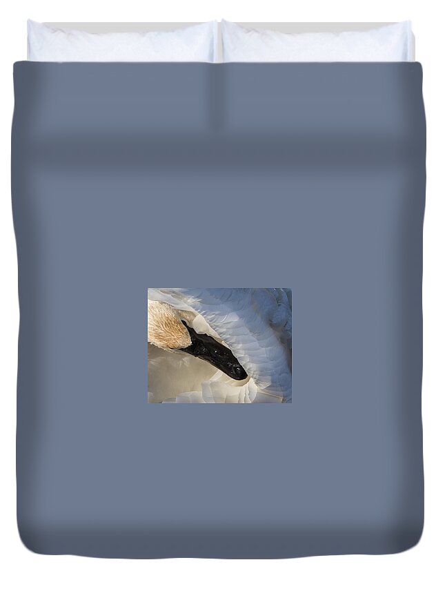 Swan Duvet Cover featuring the photograph Trumpeter Swan - Safe Place by Patti Deters