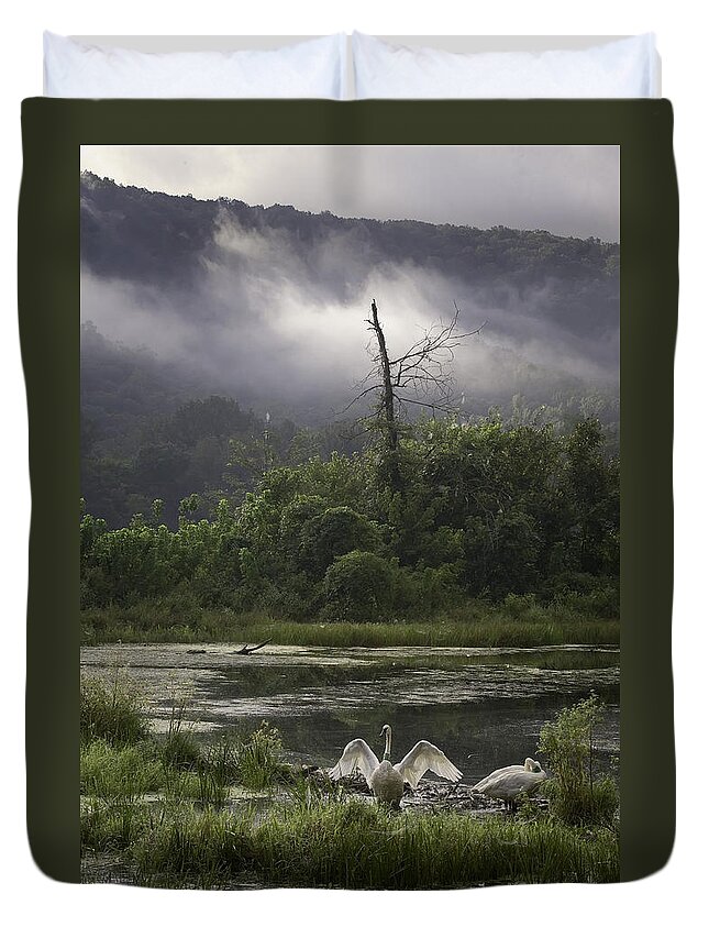 Trumpeter Swans Duvet Cover featuring the photograph Trumpeter Swans at Sunrise by Michael Dougherty