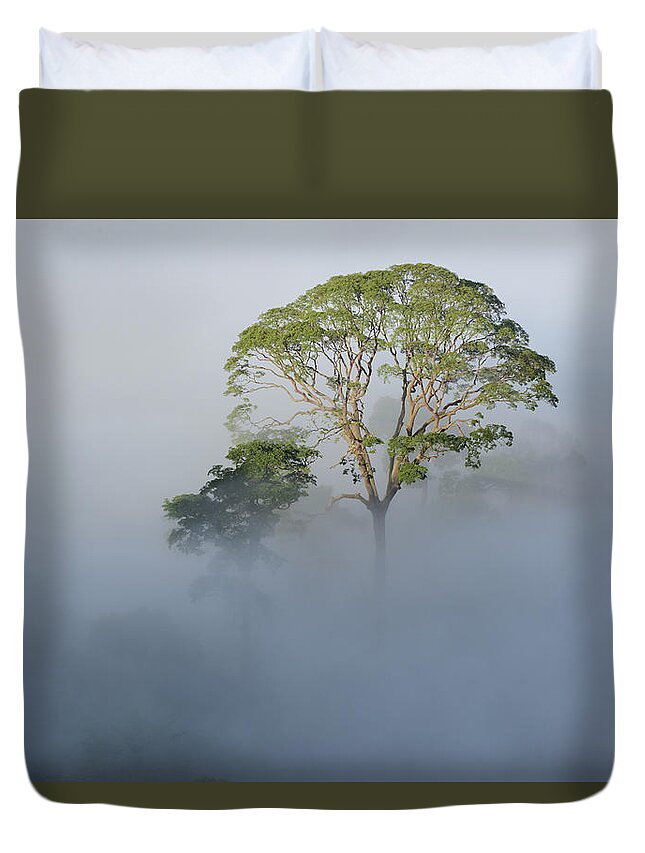Ch'ien Lee Duvet Cover featuring the photograph Tualang Tree Above Rainforest Mist by Ch'ien Lee