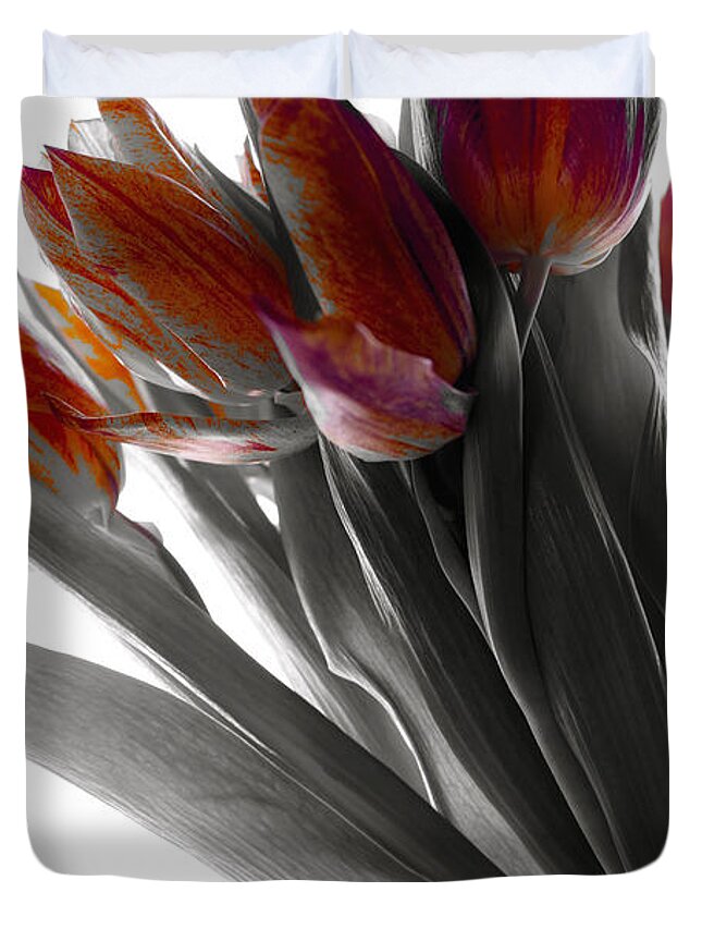 Tulips Duvet Cover featuring the photograph Tulip Color Block by Joseph Hedaya