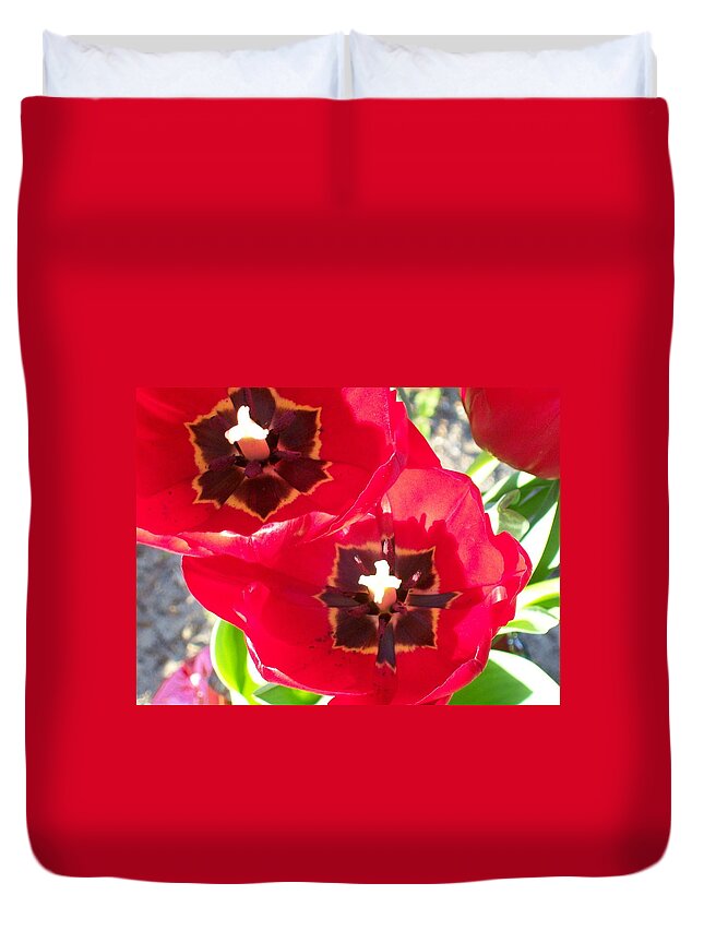 Beautiful Red Tulips From The Spring. Duvet Cover featuring the photograph Tulip Harmony by Belinda Lee