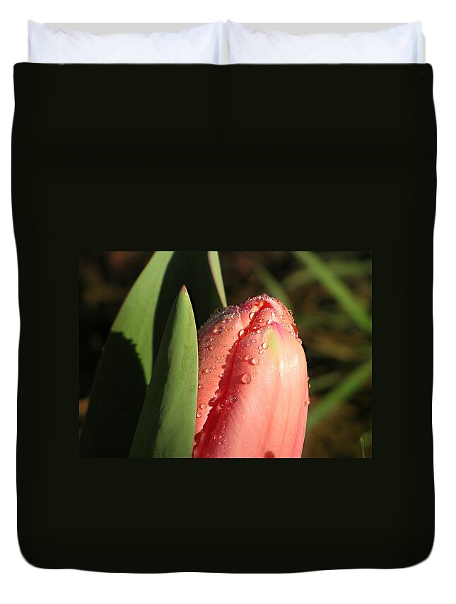 Oregon Duvet Cover featuring the photograph Tulip In Morning Sun by KATIE Vigil
