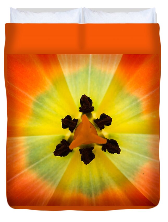 Tulip Duvet Cover featuring the photograph Tulip by Patricia Schaefer