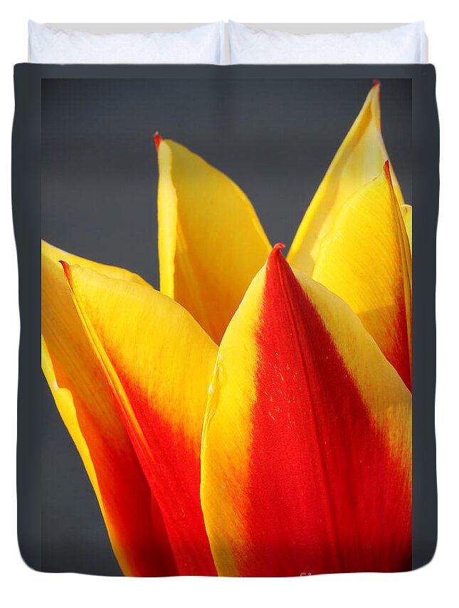 Macro Duvet Cover featuring the photograph Tulip by Todd Blanchard